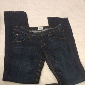 Hudson Jeans Blue Straight Leg Denim